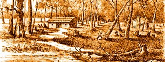 The Human Imprint: Large in Human and Biological Events The Human Imprint: Large in Human and Biological Events