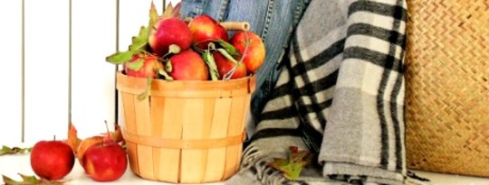 Why the Fuss About Local Food? Why the Fuss About Local Food?