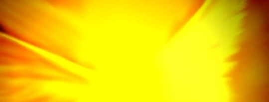 The Power of Protection: The Light Within Your Soul, Higher Self, and Angelic Teachers