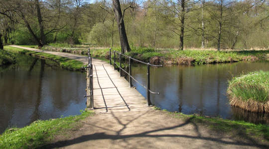 Finding True Freedom by Crossing the Bridge of Forgiveness