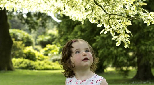 Learning to Work With Wonder Learning to Work With Wonder