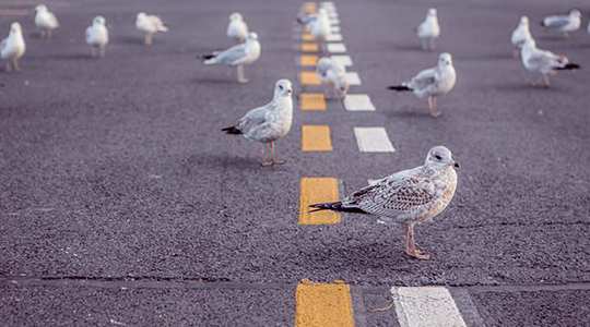 I'm Crazy, You're Crazy, They're Crazy, All In Different Ways I'm Crazy, You're Crazy, They're Crazy, All In Different Ways