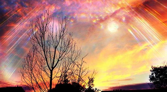 Trust the Dance of Life: Be Who You Were Made to Be Trust the Dance of Life: Be Who You Were Made to Be