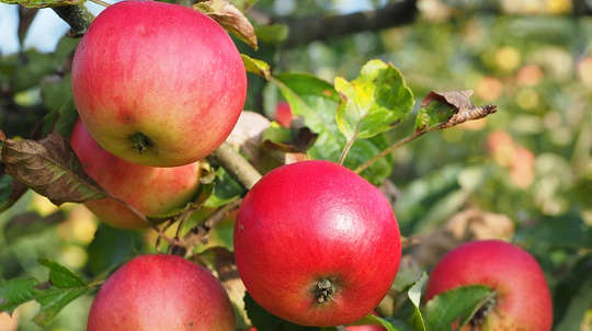 You Can Allow Yourself to Have It All You Can Allow Yourself to Have It All