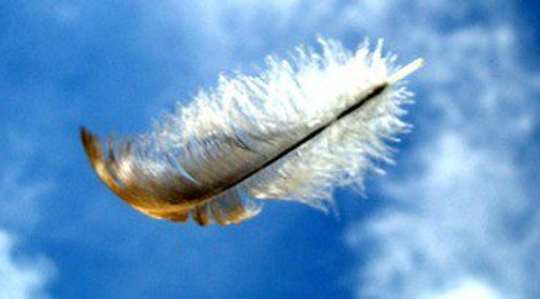 Staying Grounded in the Moment: The Key to Creating Your Future Staying Grounded in the Moment: The Key to Creating Your Future