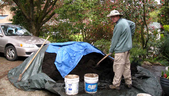 Digging in the Dung: Turning Tragedy and Pain into Insights and Wisdom Digging in the Dung: Turning Tragedy and Pain into Insights and Wisdom