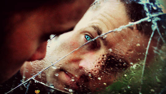 Breaking the Cycle of Fear and Violence Breaking the Cycle of Fear and Violence