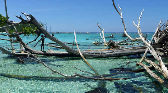 Sea-level Rise Has Claimed Five Whole Islands In The Pacific