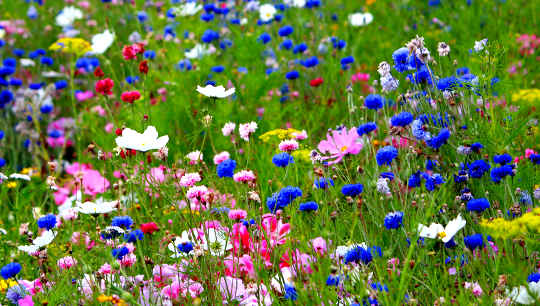 You Are Enough! We Are Enough!