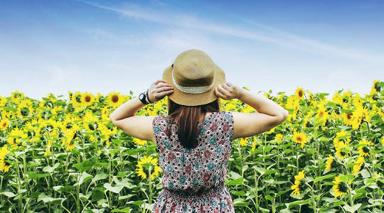 A Reminder Of Good Things To Come A Reminder Of Good Things To Come