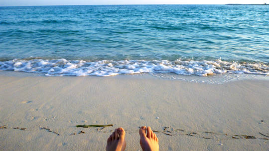 Living a Stress-Free Life Every Day