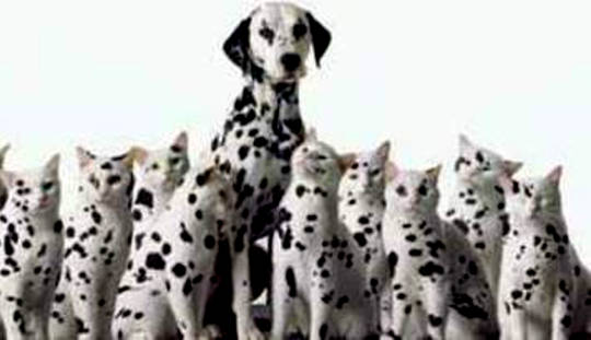 Be An Original: March to the Beat of Your Own Drummer Be An Original: March to the Beat of Your Own Drummer