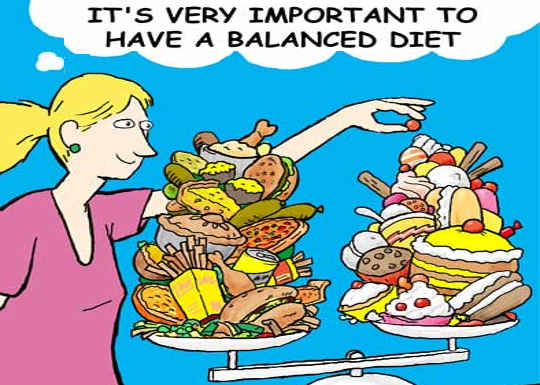 What Is A Balanced Diet Anyway? What Is A Balanced Diet Anyway?