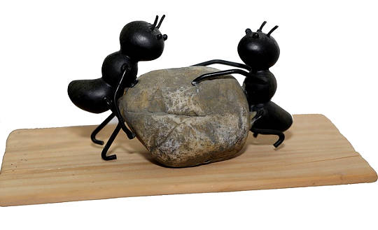 The Cosmic Coincidence: Who Sent the Ants?