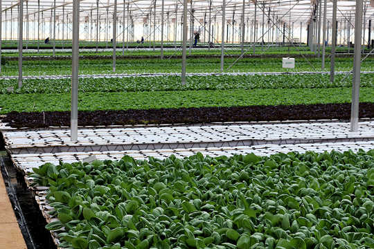 How This Grocery Store Program Pushed Farmers To Go Green How This Grocery Store Program Pushed Farmers To Go Green