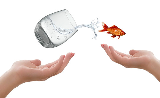 From Relationship to Partnership by Recognizing Family Themes And Patterns From Relationship to Partnership by Recognizing Family Themes And Patterns