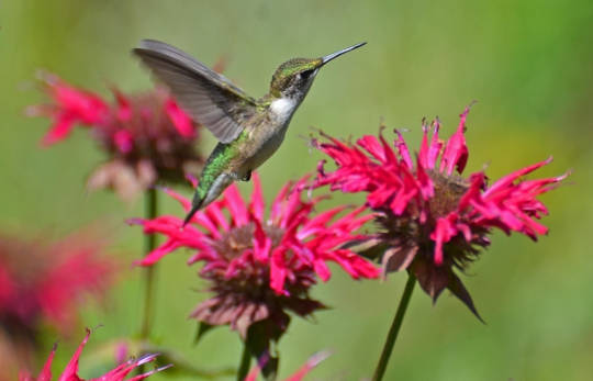 June 2018: The Alchemy of Emotional Expression and Authentic Communication June 2018: The Alchemy of Emotional Expression and Authentic Communication