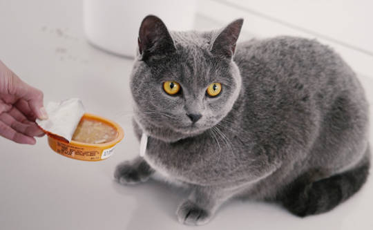 How Light and Life Always Guide Us Home How Light and Life Always Guide Us Home