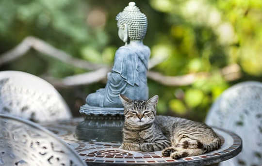 The Spiritual Universe: Moving Beyond Materialism and Saving the World