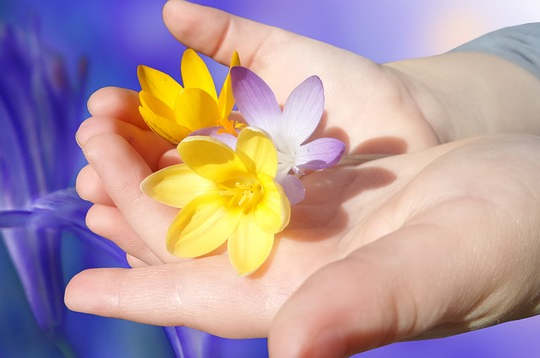 The Gift of Self: Contributing To -- and Serving -- The Wider Collective The Gift of Self: Contributing To -- and Serving -- The Wider Collective