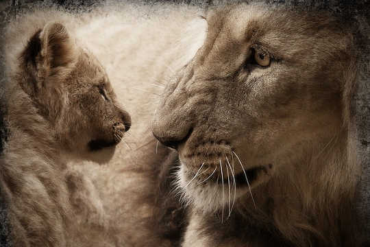 The Great Liberation: Becoming What You Are The Great Liberation: Becoming What You Are