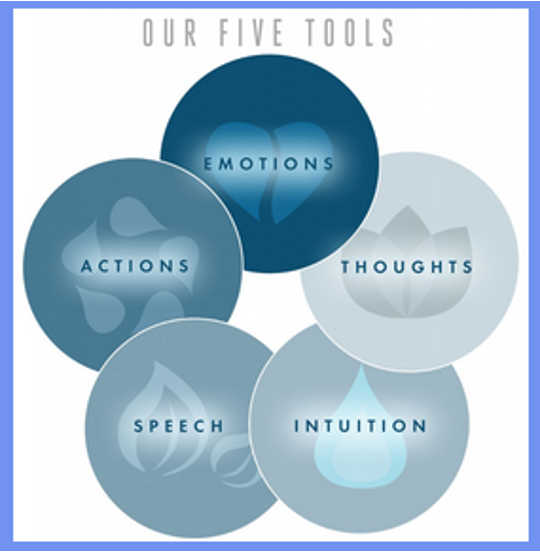 The Five Tools for Navigating Transitions, Hurts, and Losses The Five Tools for Navigating Transitions, Hurts, and Losses