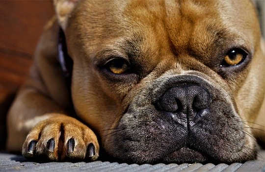 Why Your Life Sucks and How To Make It Better Why Your Life Sucks and How To Make It Better