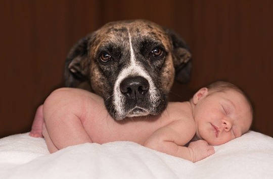 You Must Either Love or Fear. Which Is It? You Must Either Love or Fear. Which Is It?