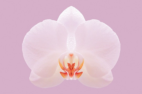 Understanding and Managing Your Energy Container: “Shields Up, Mr. Sulu” Understanding and Managing Your Energy Container: “Shields Up, Mr. Sulu”