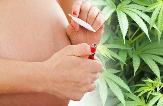 Does Cannabis During Pregnancy Raise Child’s Psychosis Risk? Does Cannabis During Pregnancy Raise Child’s Psychosis Risk?