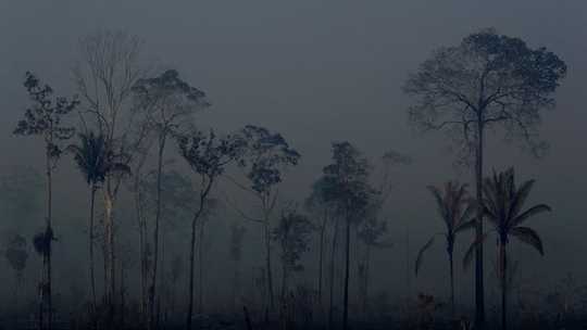 Evangelicals In Brazil See Abuse Of God's Earth As A Sin – But Will They Fight To Save The Amazon? Evangelicals In Brazil See Abuse Of God's Earth As A Sin – But Will They Fight To Save The Amazon?