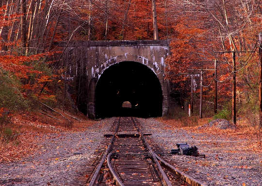 Riding The D Train: Getting Up and Doing Something Different Riding The D Train: Getting Up and Doing Something Different