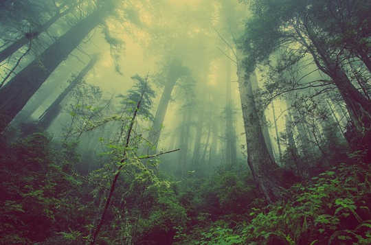 The Healing Power of Sacred Space, Natural or Manmade The Healing Power of Sacred Space, Natural or Manmade