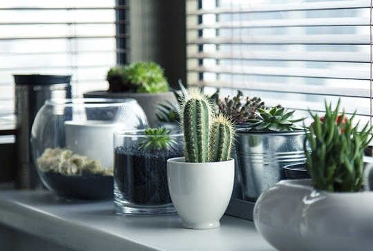 Befriending Problems: Making Friends With What Is