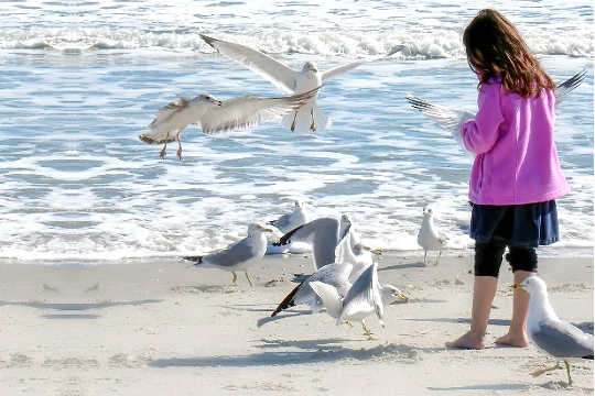 Courageous Hearts: Lunar Eclipse in 16th degree of Sagittarius Courageous Hearts: Lunar Eclipse in 16th degree of Sagittarius