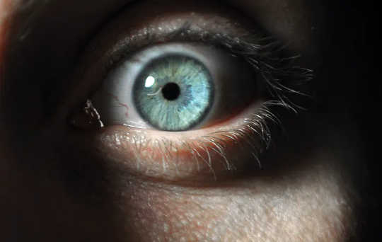 From Psychopaths to Everyday Sadists: Why Do Humans Harm The Harmless? From Psychopaths to Everyday Sadists: Why Do Humans Harm The Harmless?