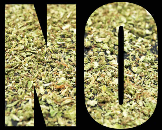 ten cons of legalizing cannabis