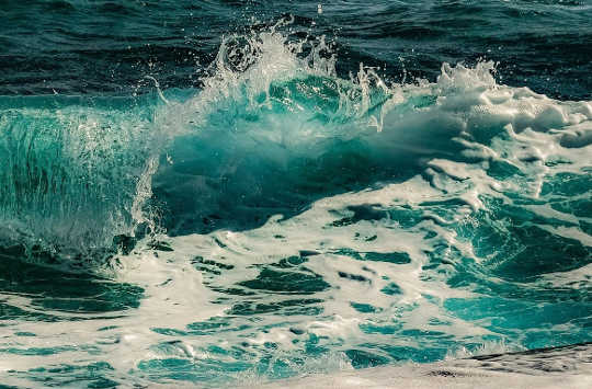 Wild Love: This Supermoon is New in Libra, October 16, 2020 Wild Love: This Supermoon is New in Libra, October 16, 2020