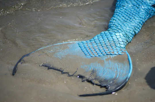 Mermaids Aren't Real But They've Fascinated People Around The World For Ages Mermaids Aren't Real But They've Fascinated People Around The World For Ages