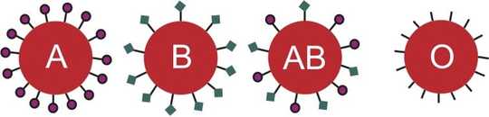 Your Blood Type May Influence Your Vulnerability To Norovirus
