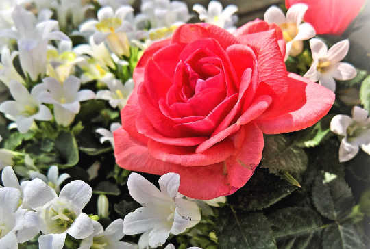 The Yoni Egg: A Key to Female Energy, Inner Beauty, and Self-Confidence The Yoni Egg: A Key to Female Energy, Inner Beauty, and Self-Confidence