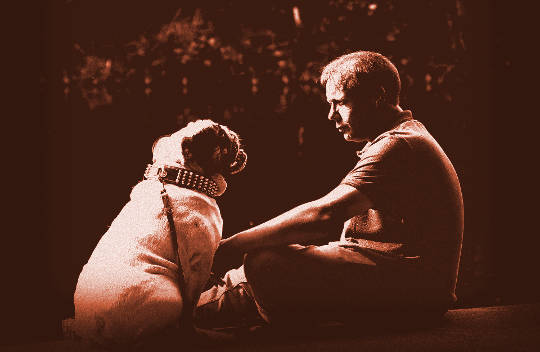 The Four Main Styles of Pet Communication The Four Main Styles of Pet Communication