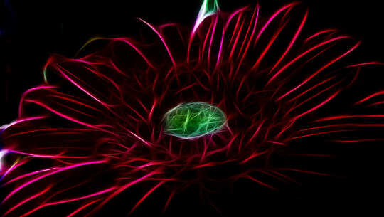 Transformation: Taking Back our Power from People and Parasites Transformation: Taking Back our Power from People and Parasites