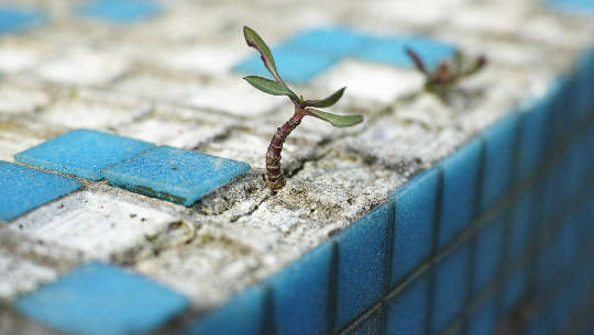 Seeing the World As We Desire It To Be Seeing the World As We Desire It To Be