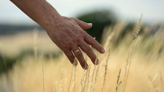 Stress Reduction Methods: Fingertips Calm The Mind Stress Reduction Methods: Fingertips Calm The Mind