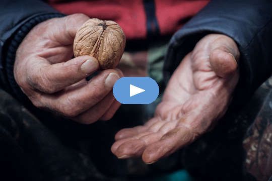 Joanna’s Story: From Breast Cancer to Healing and Alignment Joanna’s Story: From Breast Cancer to Healing and Alignment