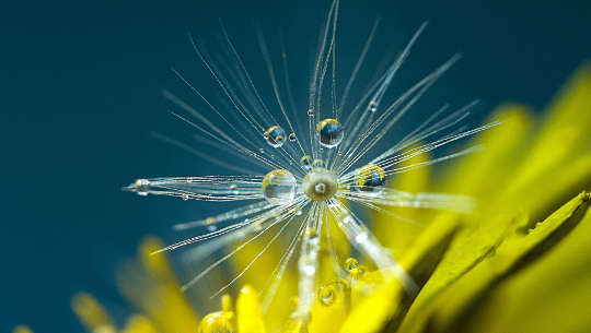 An Unshakable Trust Under All Circumstances An Unshakable Trust Under All Circumstances