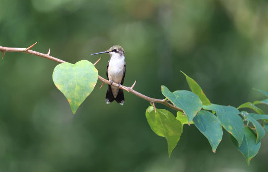 Planning the Burial: Anticipating Possible Problems and Blessings