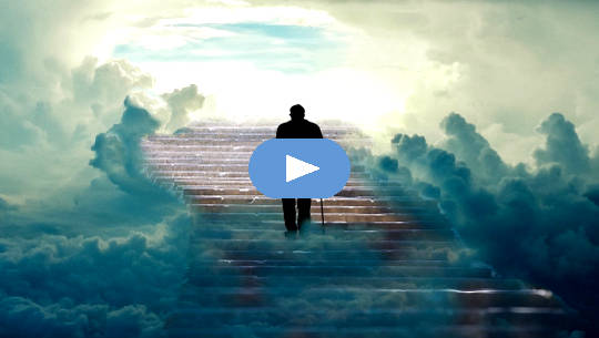 Losses and Reunions in the Afterlife