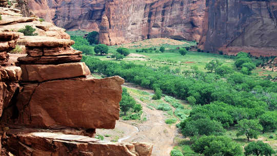 My Mountain Lion Experience in Canyon de Chelly: Nightmare or Spirit Guide? Canyon de Chelly